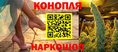 ECSTASY Камышлов