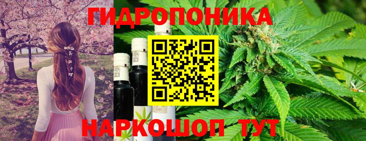 Красный Сулин  Канабис OG Kush  Марихуана White Widow  Вход с VPN 